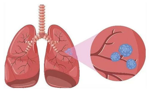 百草阁中医馆