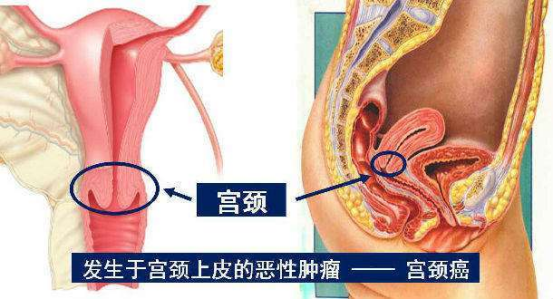 1751269557139520.png image.png