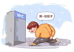 1756802061166791.png image.png